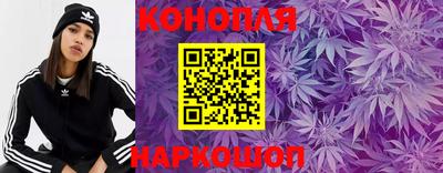 apvp Вязьма