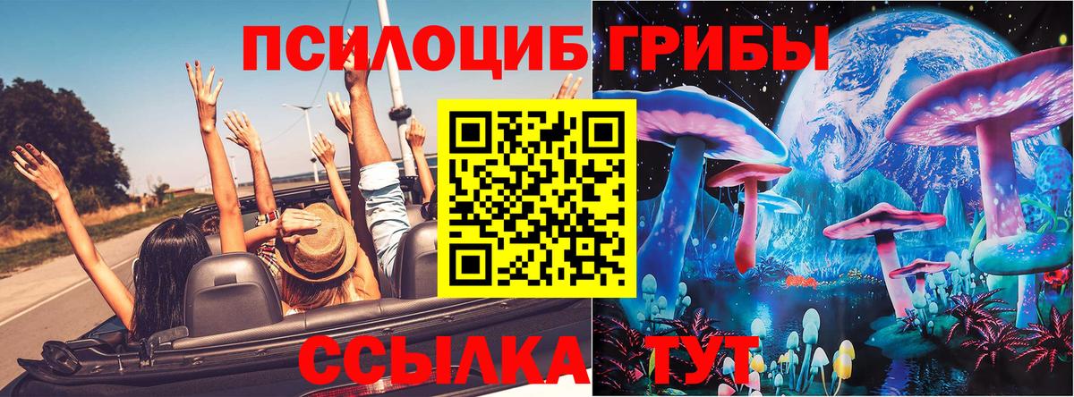 Волгодонск  Галлюциногенные грибы Magic Shrooms  Вход с VPN  Псилоцибиновые грибы Psilocybine cubensis 