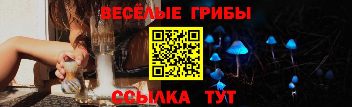Галлюциногенные грибы мухоморы Волгодонск